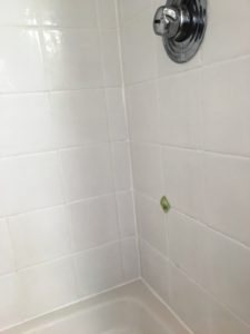 Tiled Shower After Renovation in Oxshot