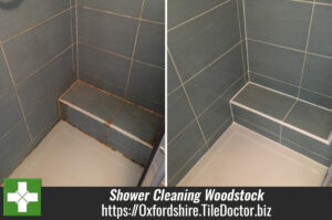 Mouldy Shower Tile Grout Renovation Woodstock